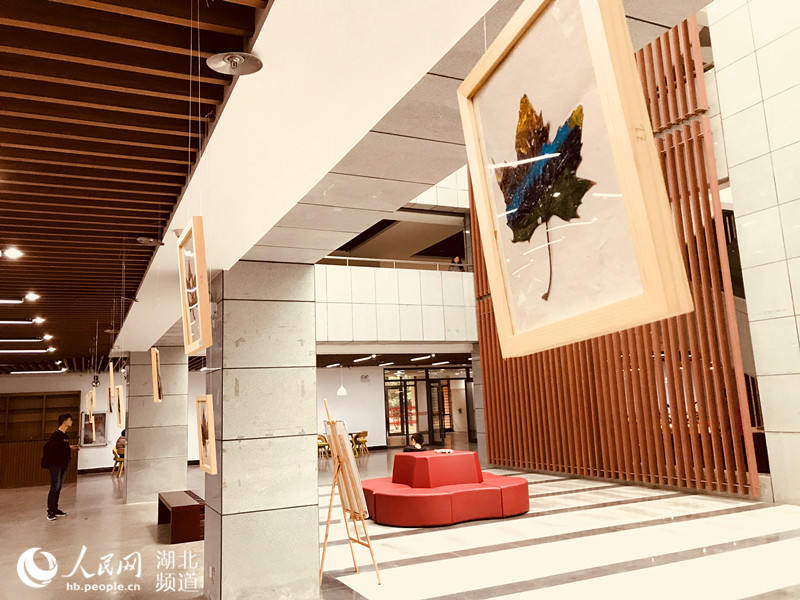 传统叶雕、现代叶绘齐登台 武汉一高校举办叶艺展览