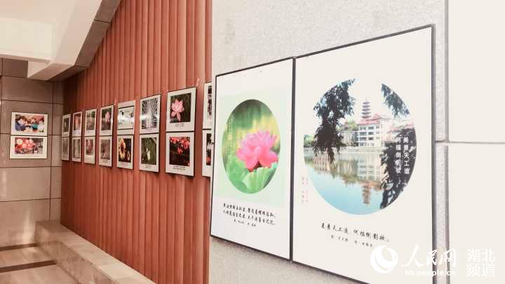 “诗中有画 、画中有诗” 武汉一高校举办诗影艺术展